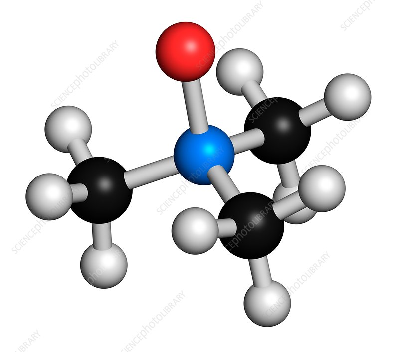 Trimethylene