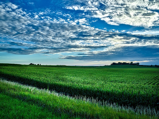 Tipton, Iowa to Greenfield